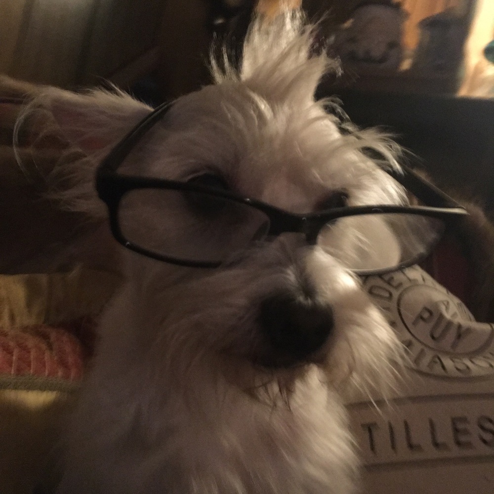 Meet your Posher, Tawsha